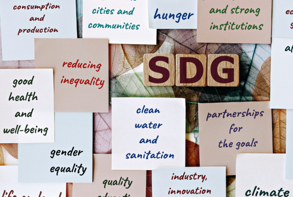 List of Sustainable Development Goals