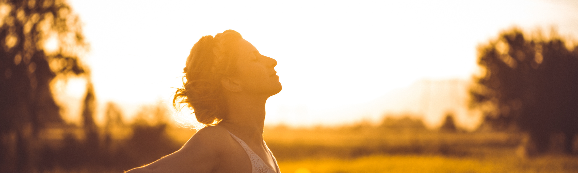 The Power of the Pause: Why Micro-Breaks Matter